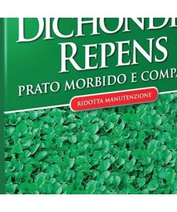 Blumen Prato Black Dichondra 200g - Pianta perenne verde per giardino