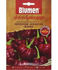 Semi di peperoncino Jamaican rosso