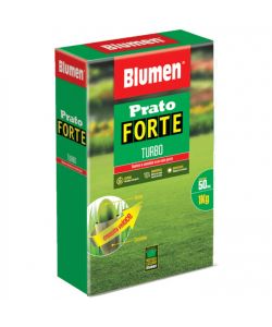Blumen Sementi Prato Forte Turbo 1 kg - Tappeto erboso resistente e rapido