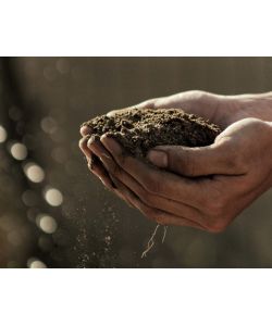 Vigorplant Terriccio Completo 45 LT - Substrato per Piante Verdi e Fiorite