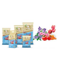 Terriccio Universale Bio Terre di Casa - 10L