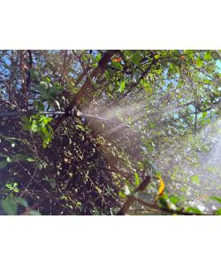 Sandokan Automizer Antizanzare Nebulizzatore Automatico 12V 20L