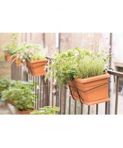 Bama Fioriera Iris 50 cm Colore Terracotta - Con Struttura e Sottovaso Resistente