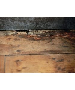 Polyfilla Stucco per Legno Grigio Chiaro 1 kg - Riparazioni Facili e Veloci