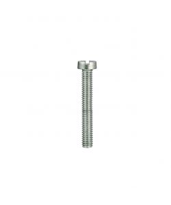 Viti per metallo testa cilindrica Inox A2 - 3 x 25 - 20 pz.