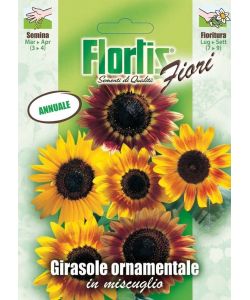 Flortis Semi di Girasole Ornamentali - Pronti per Semina