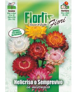 Flortis Sementi Fiori - Helicriso Semprevivo Mix - Busta per Semina