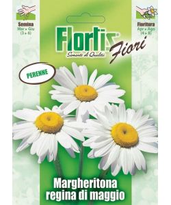 Flortis Semi Margheritona Regina di Maggio - Miscuglio perenne in bustina