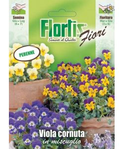 Sementi Fiori Viola Cornuta Mix - Pronte per Semina