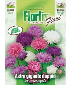 Flortis Astro Gigante - Pianta Annuale Fiori Doppi Altezza 70-80 cm