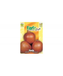 Flortis Cipolla Dorata di Bologna - Bulbi grandi rotondi - Colore dorato