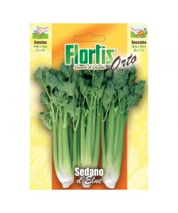 Flortis Semi di Sedano d'Elne Verde - Altezza Media Profondit� 0,5 cm