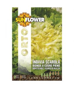 Sementi Indivia E Scarola                Sunflower