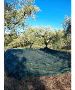 OLIVARI Rete per Olive - Verde - 50Mt H4