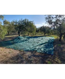 OLIVARI Rete per Olive - Verde - 8x8m