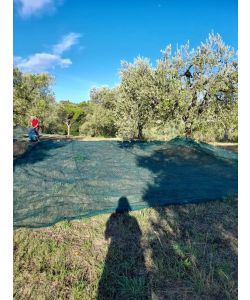 OLIVARI Rete per Olive - Verde - 8x8m