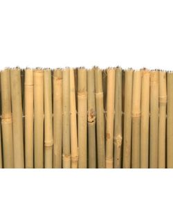 Arelle Brixo Master Bambu 150X300Cm