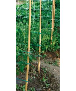 Verdemax Canna Tutore in Bamboo Naturale - 180 cm