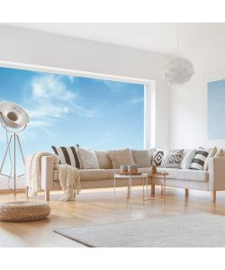 Max Meyer Pittura Murale Lavabile Bianca Opaca 14L - Finitura Pregiata