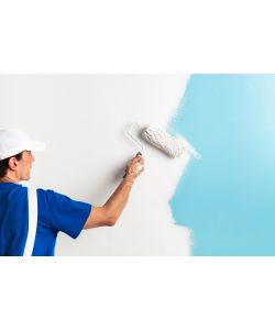 Max Meyer Pittura Murale Lavabile Bianca Opaca 14L - Finitura Pregiata