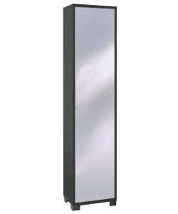 Mobile in kit colonna 1 anta 190 x 43 x 29 cm Titanio - Specchio Naturale