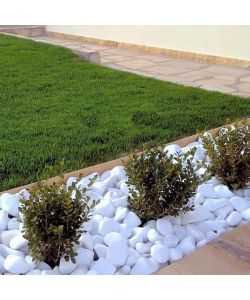 Ciottoli Bianchi di Marmo Carrara per Giardinaggio - 20 kg
