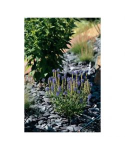 Ardesia Ciotoli Decorativi - Nero - 20kg