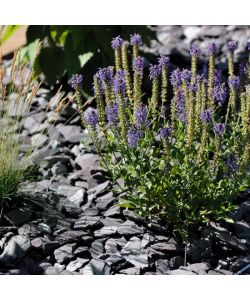 Ardesia Ciotoli Decorativi - Nero - 20kg