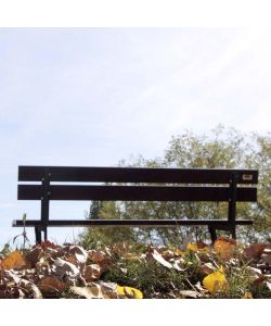 Panchina da Giardino in Ghisa e Legno Vette - Bronzo/Teak Scuro - 150 cm