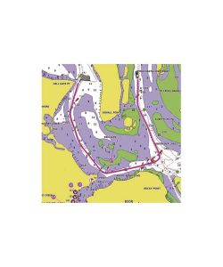 Garmin Bluechart G3 Vision Veu010R