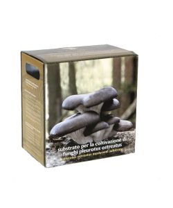 Substrato Coltivazione Funghi Ostreatus - Ideale per Interni