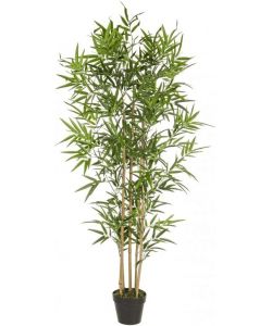 BIZZOTTO Pianta Bamboo con vaso H155 cm - Decorazione in plastica e cemento