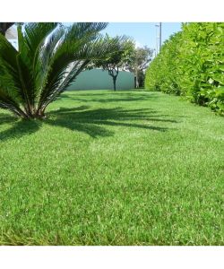 CCGrass Prato Artificiale Alta Qualità 1x4m 40mm - Perfetto per Esterni