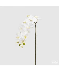 EDG Pianta Ornamentale Artificiale 58 cm Bianco Decorativa