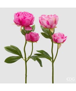 EDG Ramo Peonia x2 H55 Foglie Colore Two Tone Pink
