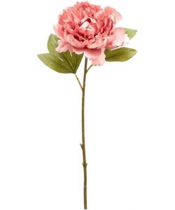 Peonia Epoque ramo da 51 cm color Rosa