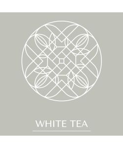 Tescoma Ricarica Diffusore per Essenze - Tè Bianco - 500 ml