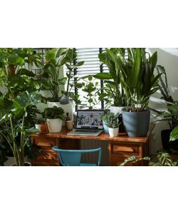 Elho Vaso Brussels - Bianco - Ø 14 cm