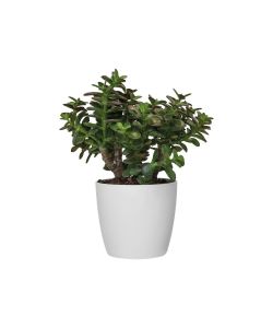 Elho Vaso Brussels - Bianco - Ø 14 cm