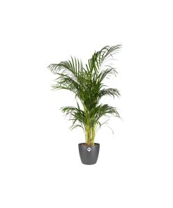 Elho Vaso Brussels - Nero - Ø 14 cm