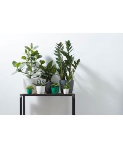 Elho Vaso Brussels - Nero - Ø 14 cm