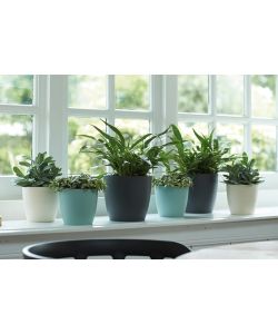 Elho Vaso Brussels - Bianco - Ø 18 cm