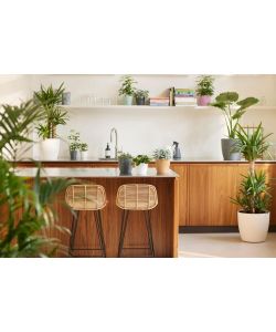 Elho Vaso Brussels - Antracite - Ø 20 cm