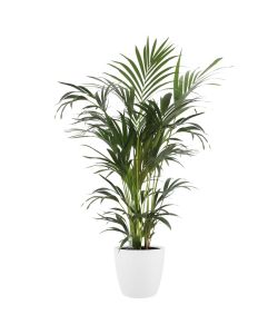 Elho Vaso Brussels - Bianco - Ø 22 cm