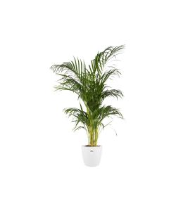 Elho Vaso Brussels - Bianco - Ø 25 cm