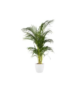 Elho Vaso Brussels - Bianco - Ø 25 cm