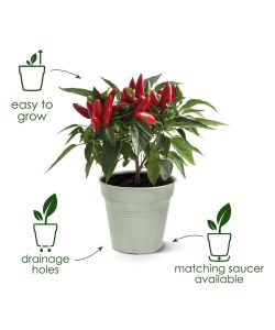 Elho Vaso da Esterno Growpot - Nero - 11 cm