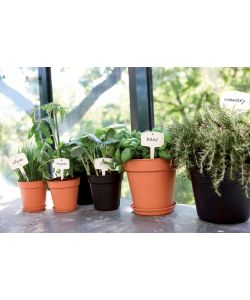 Elho Vaso da Esterno Growpot - Nero - 11 cm
