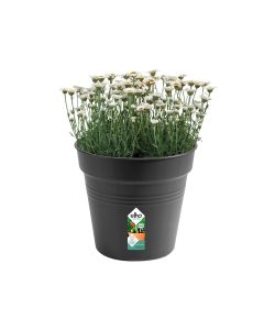 Elho Vaso da Esterno Growpot - Nero - 30 cm
