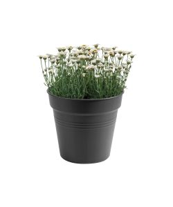 Elho Vaso da Esterno Growpot - Nero - 30 cm
